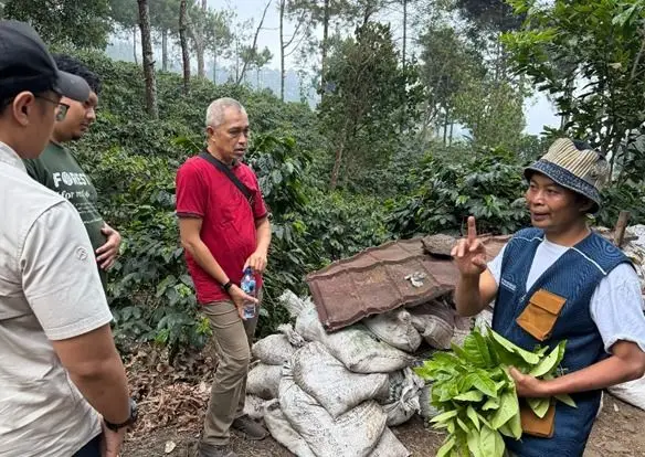 Agroforestri Kopi dan Ekowisata Menguatkan Usaha Masyarakat Jawa Timur